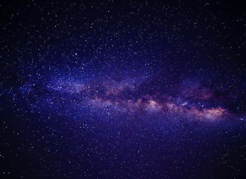 Interstellar Ecosystems